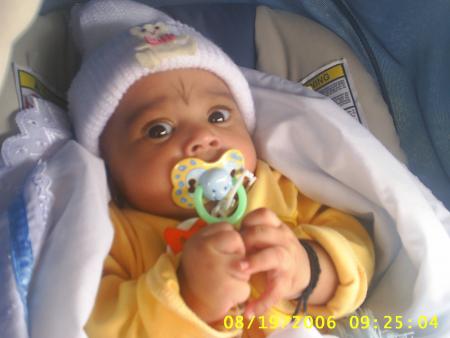 bebe camillia